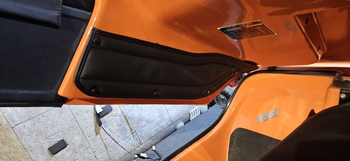Bond bug side pockets - bug,