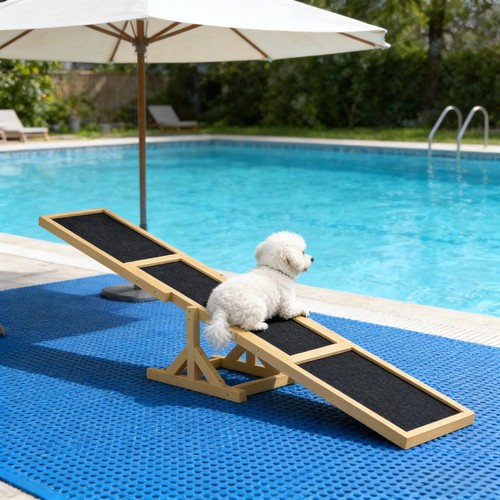 Dog agility seesaw - agility,