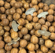 Macadamia nuts Snack dried Nuts Dry with key opener