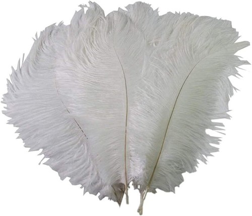50pcs natural ostrich - 50pcs,