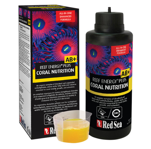 Red sea reef energy - energy, coral