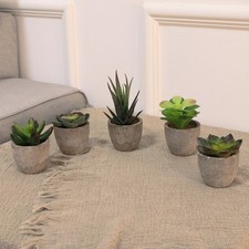  5 Pcs Fake Bonsai Artificial