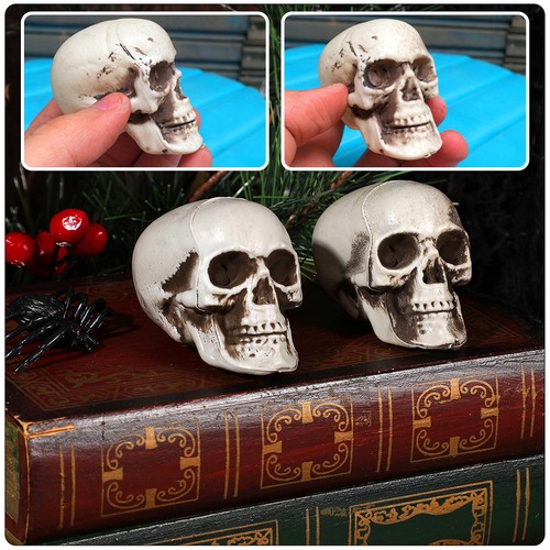 Pcs skull statue creepy - pcs,