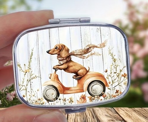 Dachshund sausage dog riding - sausage,