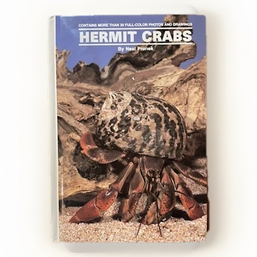 Land hermit crabs - land,