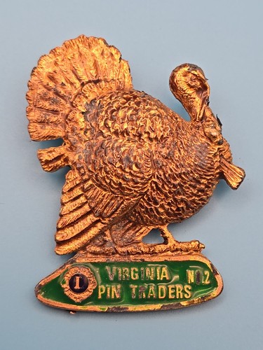 Pin badge lions club - pin,