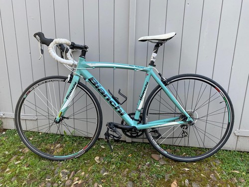 Bianchi via nirone dama - bianchi, 7