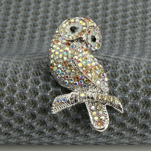 White forest owl - forest,