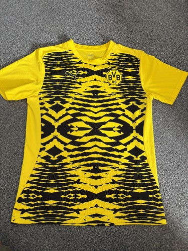 Borussia dortmund bvb pre - borussia,