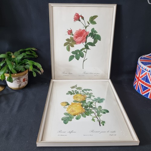 Pair botanical prints - botanical, pj