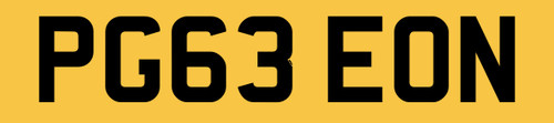 Pigeon new 2013 reg number - pigeon,
