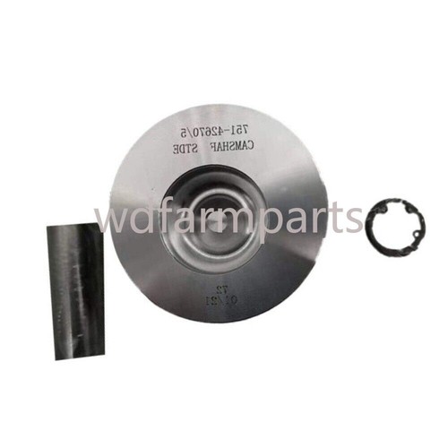 Piston with ring for - ring, lister