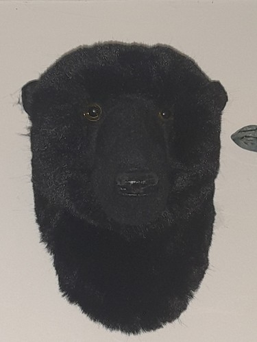 Super soft fake taxidermy - soft,