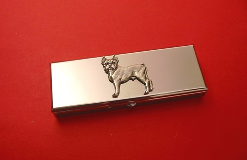 Boston terrier seven - boston,