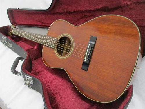 Takamine acoustic electric - takamine, acoustic-electric