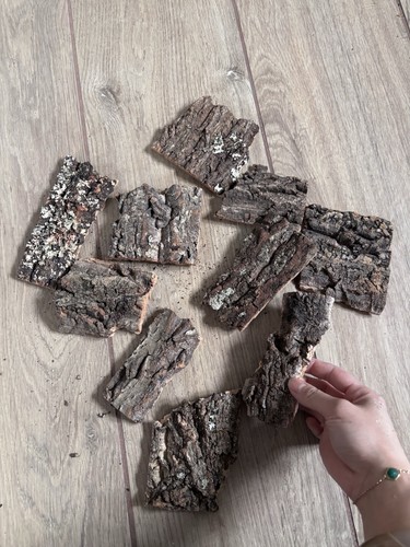 Cork bark small terrarium - small,
