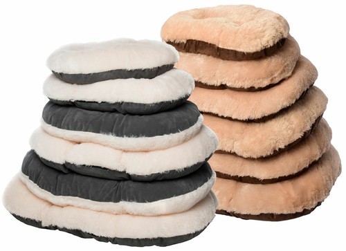Gor pet nordic - pet, oval