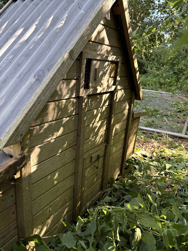 Wood chicken house - wood,