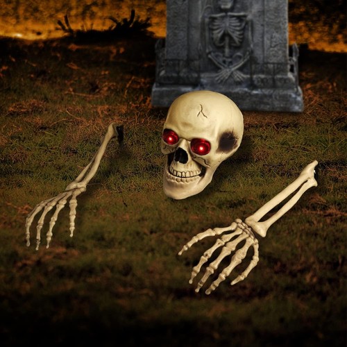 Fake skeleton halloween - fake,
