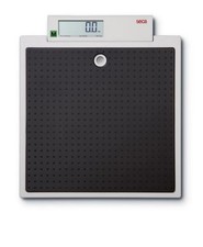 Scale to measure body weight