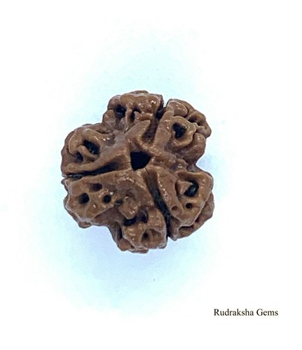 Nepalese three teen - three, mukhi