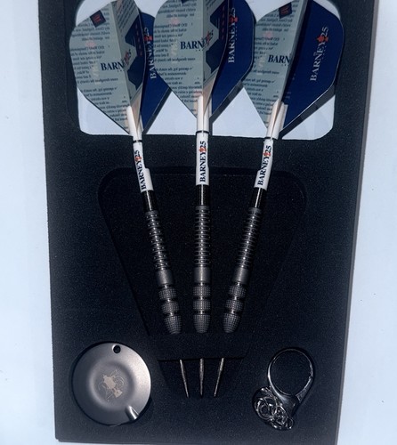 Rvb darts 25th anniversary 25g - rvb,