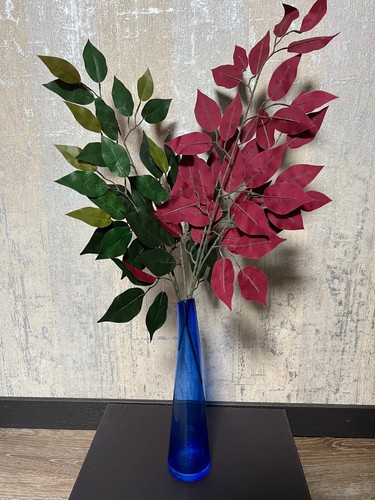 Ficus bunch red - ficus, 24"