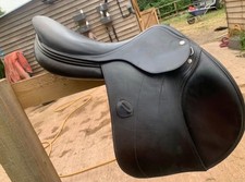 Amerigo Vega 17.5 M Jump