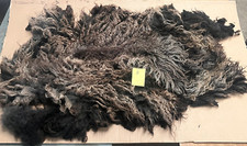 Pure Rare Breed Hebridean Sheep Fleece Spinning Craft Felt Our Own Flock 1520g B