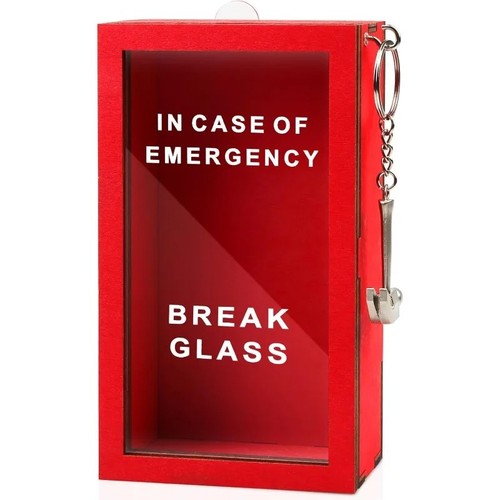 Birthday case present - case,