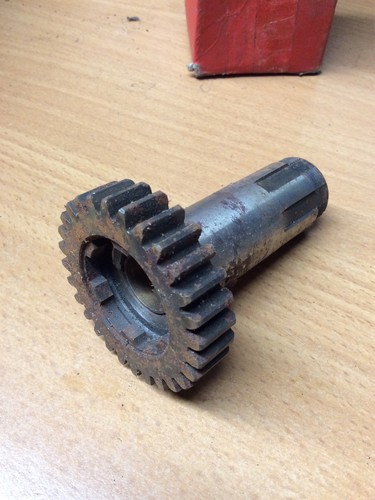 Triumph tigeress bsa sunbeam - tigeress,