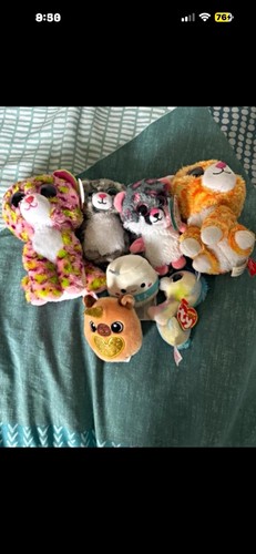 Beanie boo plush - beanie,