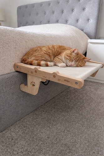 Bed cat wooden - cat,