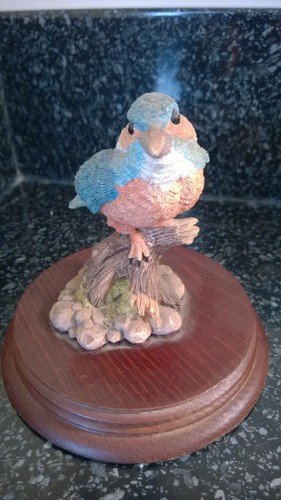 Vintage leonardo nature - vintage,
