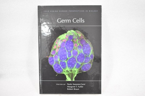 Germ cells paolo - germ,