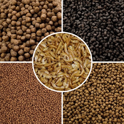 High protein koi fish food - high,