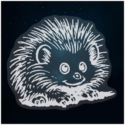 African pygmy hedgehog - 'african,