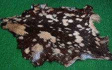 Luxury Goat hide Rug Hair on