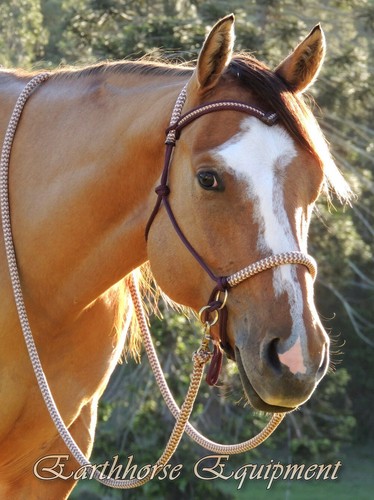 Earthhorse equipment bitless - equipment,