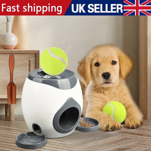 Dog pet interactive - 2, toy