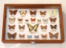 A COLLCTION OF 23 BRITISH