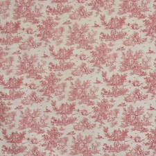 Mini French Toile De Jouy