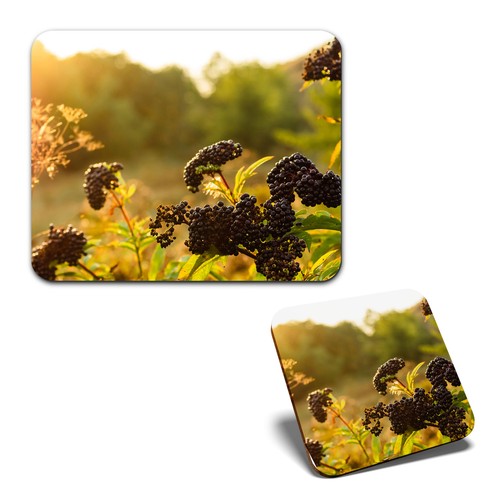 Mouse mat 1 square - 1,
