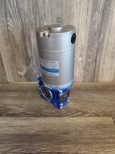 Tsiny worm gear - dc,