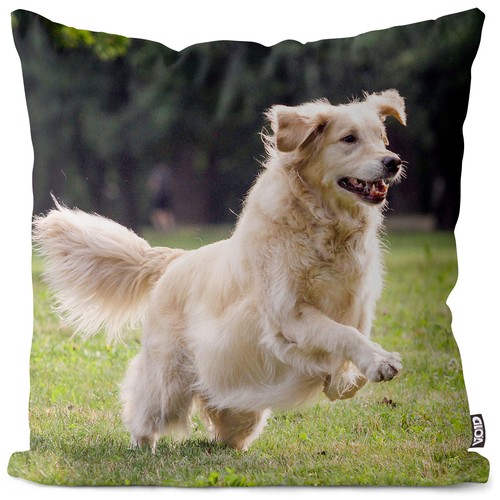 Golden retriever cushion cover - golden,