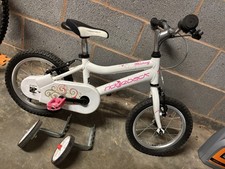 Ridgeback Honey White Girls