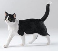 Country Artists Black & White