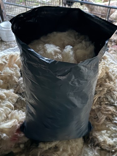 Large bag raw - bag,