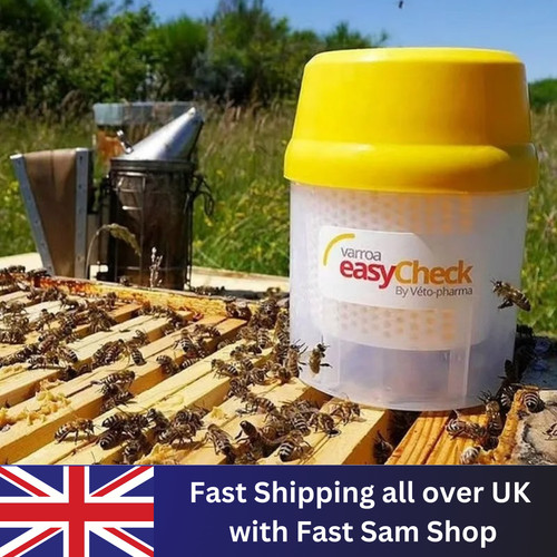 Beehive varroa mites - varroa,