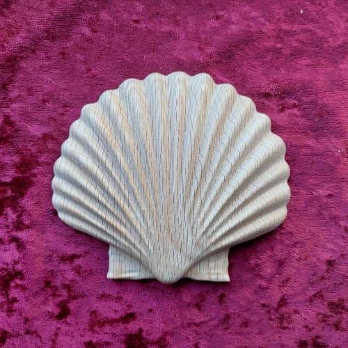 Solid oak wood - carved, seashell